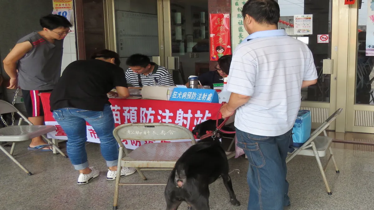 鼬獾又咬人 動保處排定家犬注射狂犬疫苗
