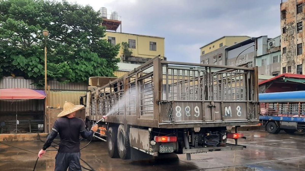 運豬車司機進行運輸車輛裝載箱籠平台消毒作業。(圖/新北市動保處提供) 運豬車司機進行運輸車輛裝載箱籠平台消毒作業。(圖/新北市動保處提供)