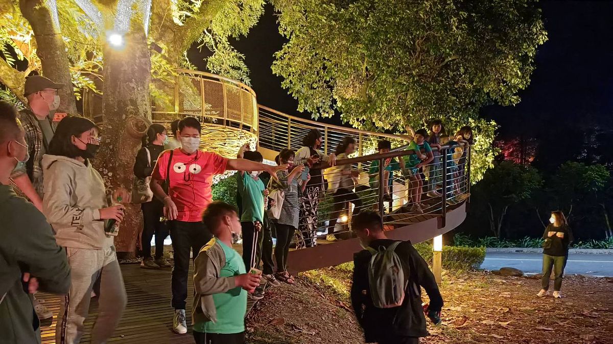 「2022台東光祭」,結合知本溫泉與周邊自然環境,落實在地藝術教育。(圖/臺東縣政府交通及觀光發展處提供) 「2022台東光祭」,結合知本溫泉與周邊自然環境,落實在地藝術教育。(圖/臺東縣政府交通及觀光發展處提供)