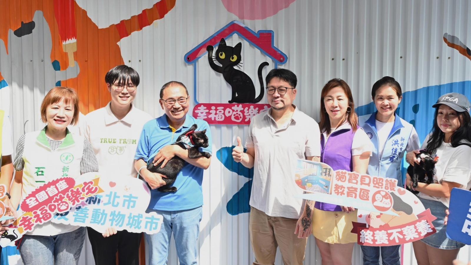 板橋動物之家變身「喵樂宅」!貓咪躲藏、跳躍空間大公開