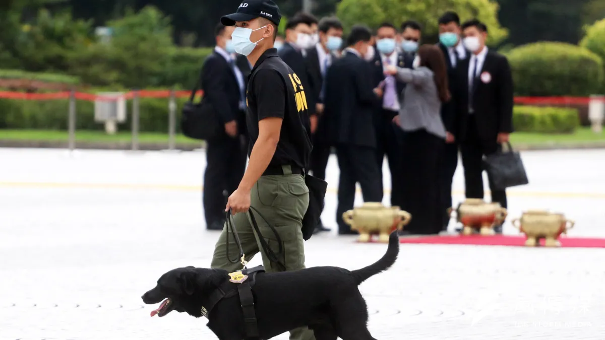 國軍有編制工作犬的只有憲兵,犬隻專長均為偵爆,圖為憲兵偵爆犬執勤。(蘇仲泓攝)