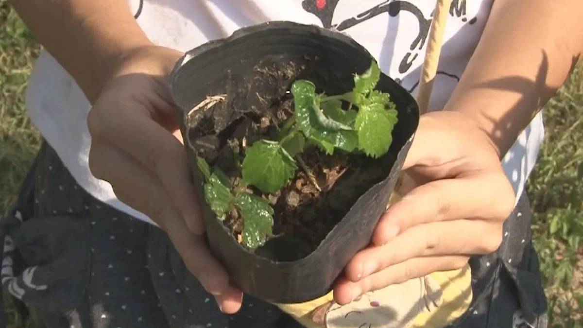 大庄國小扎根生態教育 師生獻巧思親手蓋窯、種香草