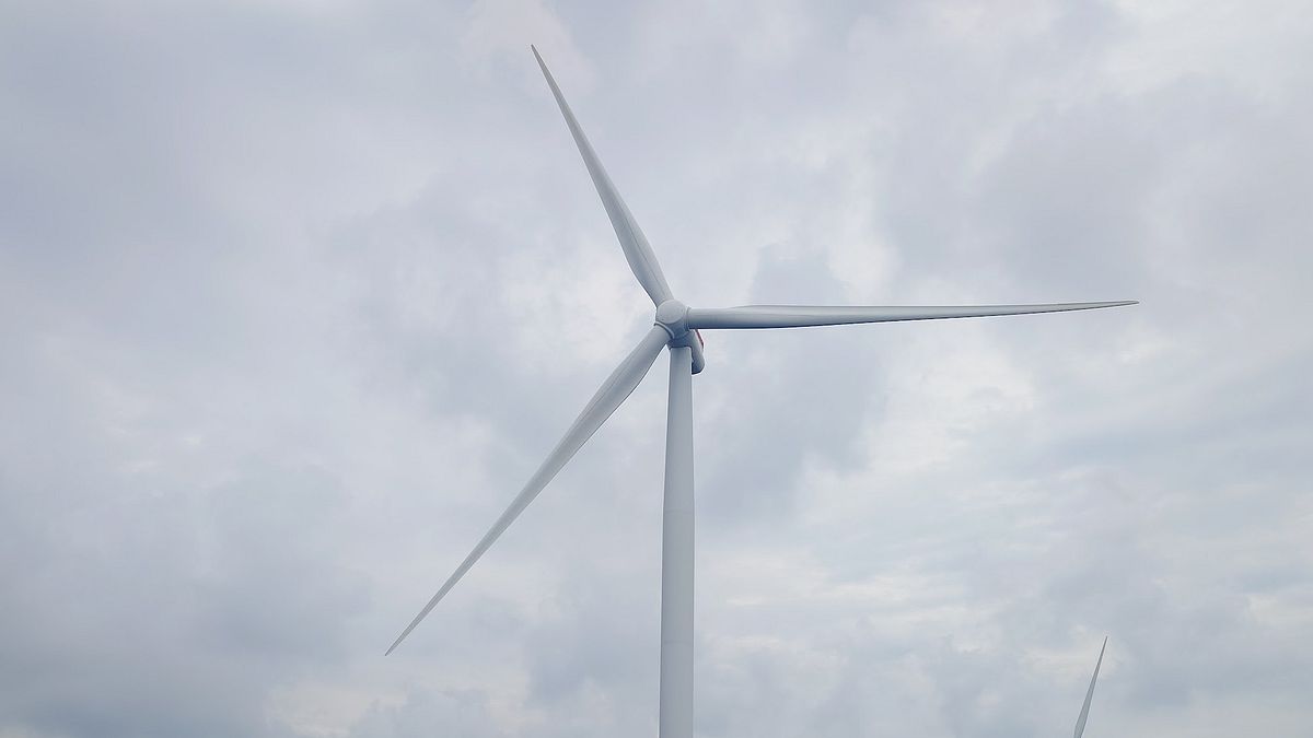 台人居留證被標示「中國」 謝金河:丹麥對台灣不仁,恐害慘在台離岸風力業者