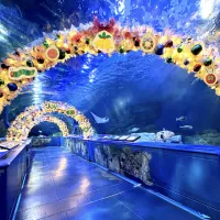 しながわ水族館で開館35周年と『はらぺこあおむし』50周年を記念した特別展がクリスマス仕様にリニューアルし、限定展示や体験イベントを展開する。(写真/しながわ水族館提供) しながわ水族館で開館35周年と『はらぺこあおむし』50周年を記念した特別展がクリスマス仕様にリニューアルし、限定展示や体験イベントを展開する。(写真/しながわ水族館提供)