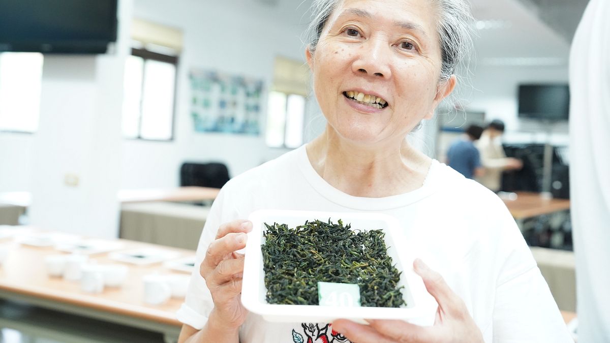 有機茶農陳金環為今年新北有機好茶分類分級評鑑冠軍。(圖/新北市農業局提供) 有機茶農陳金環為今年新北有機好茶分類分級評鑑冠軍。(圖/新北市農業局提供)