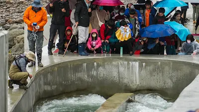 水漾學堂邀請新店國小師生共同體驗環境教育課程。(圖/新北市水利局提供)