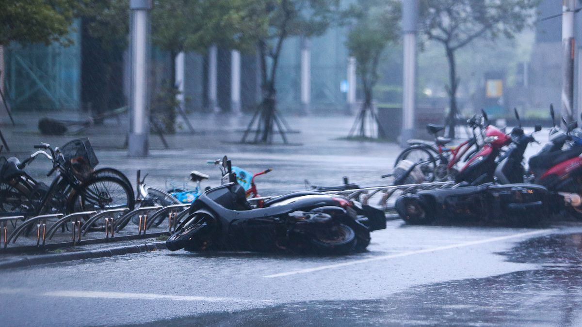 鳳凰放颱風假標準是什麼?今年多1指標成判斷關鍵!全台停班停課縣市一鍵查