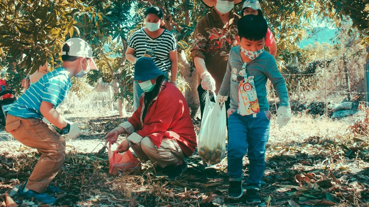 鹽北日照中心和彭厝國小附設幼兒園共同舉辦採收芒果活動。(圖/屏東縣政府傳播處提供) 鹽北日照中心和彭厝國小附設幼兒園共同舉辦採收芒果活動。(圖/屏東縣政府傳播處提供)
