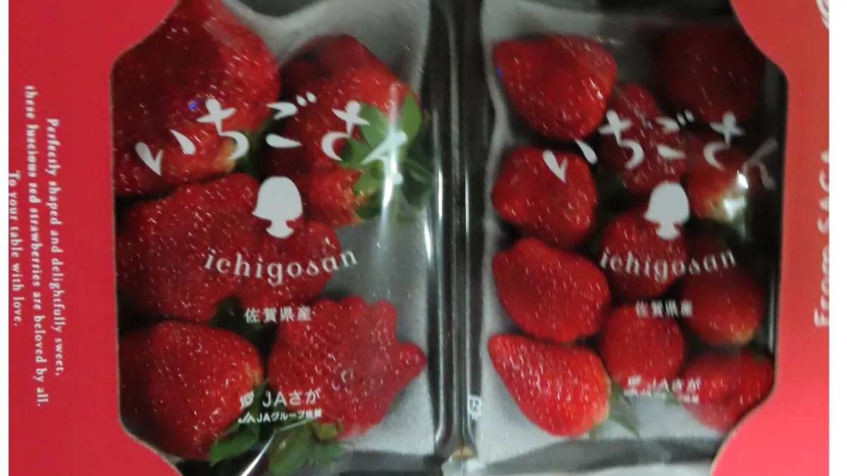 食藥署上周查獲兩批日本出口的鮮草莓,均因農藥殘留超標,必須全數退運或銷毀。(食藥署提供)
