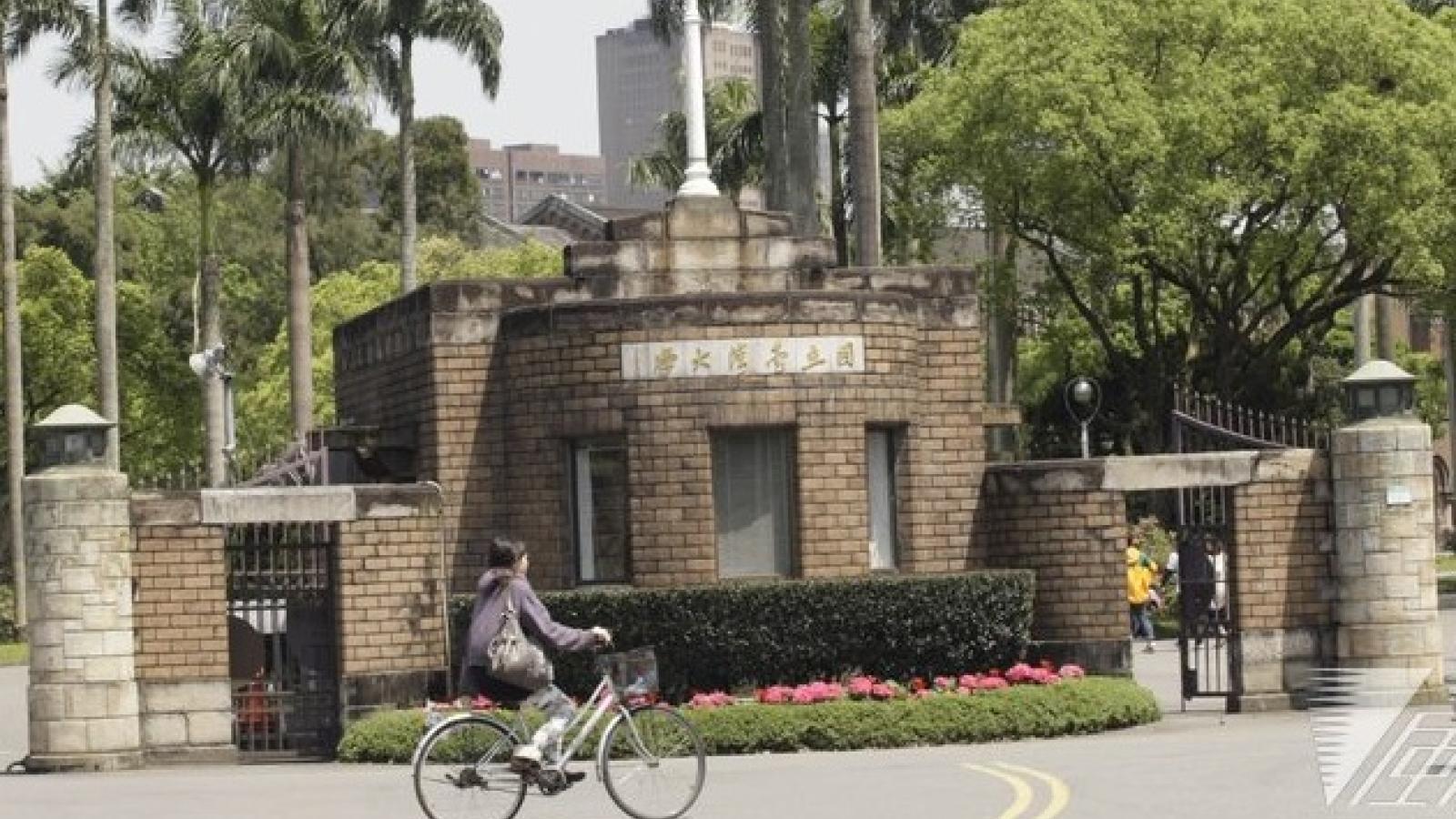 AI害的?台大資工錄取門檻大降12級分!校方分析2大原因
