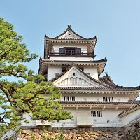 Z世代は自己表現や学びを重視し、東京やソウルなど短中距離の都市型旅行や体験型アクティビティが人気。訪日需要は依然高く、東京や大阪が上位にランクイン。(写真/イージートラベル提供) Z世代は自己表現や学びを重視し、東京やソウルなど短中距離の都市型旅行や体験型アクティビティが人気。訪日需要は依然高く、東京や大阪が上位にランクイン。(写真/イージートラベル提供)