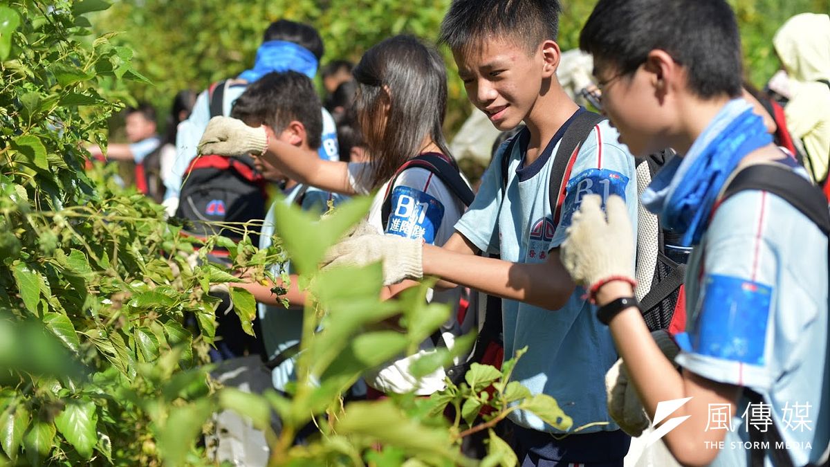 透過了解溼地、維護生態等活動設計,重新認識淡水河水系。(圖/天下提供) 透過了解溼地、維護生態等活動設計,重新認識淡水河水系。(圖/天下提供)