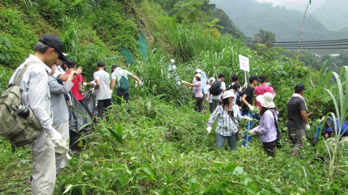 剷除「小花蔓澤蘭」 大家一起保護生態環境 剷除「小花蔓澤蘭」 大家一起保護生態環境