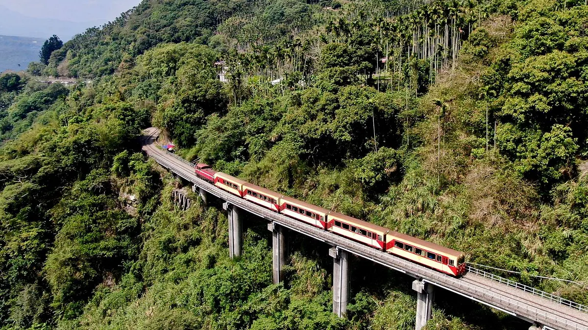 2025年1月に最も人気のある3つの森林レクリエーションエリアは「渓頭自然教育園区」、「阿里山国家森林レクリエーションエリア」および「太平山国家森林レクリエーションエリア」である。(画像/農業部林業および自然保全局公式サイトより) 2025年1月に最も人気のある3つの森林レクリエーションエリアは「渓頭自然教育園区」、「阿里山国家森林レクリエーションエリア」および「太平山国家森林レクリエーションエリア」である。(画像/農業部林業および自然保全局公式サイトより)