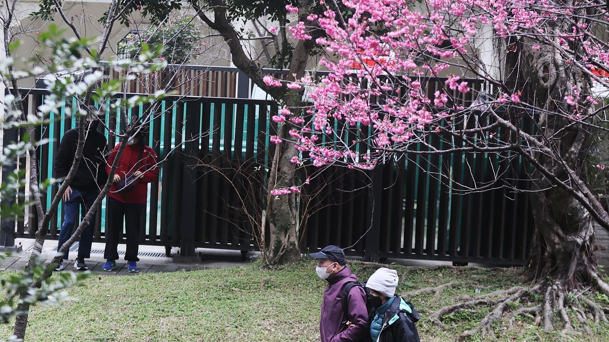 天氣預報》最強冷空氣發威!氣溫狂降剩12度「變天更濕涼時間曝」,直到這天才回暖