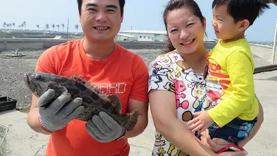 鞋廠小開改行養殖業 無藥殘石斑魚受好評