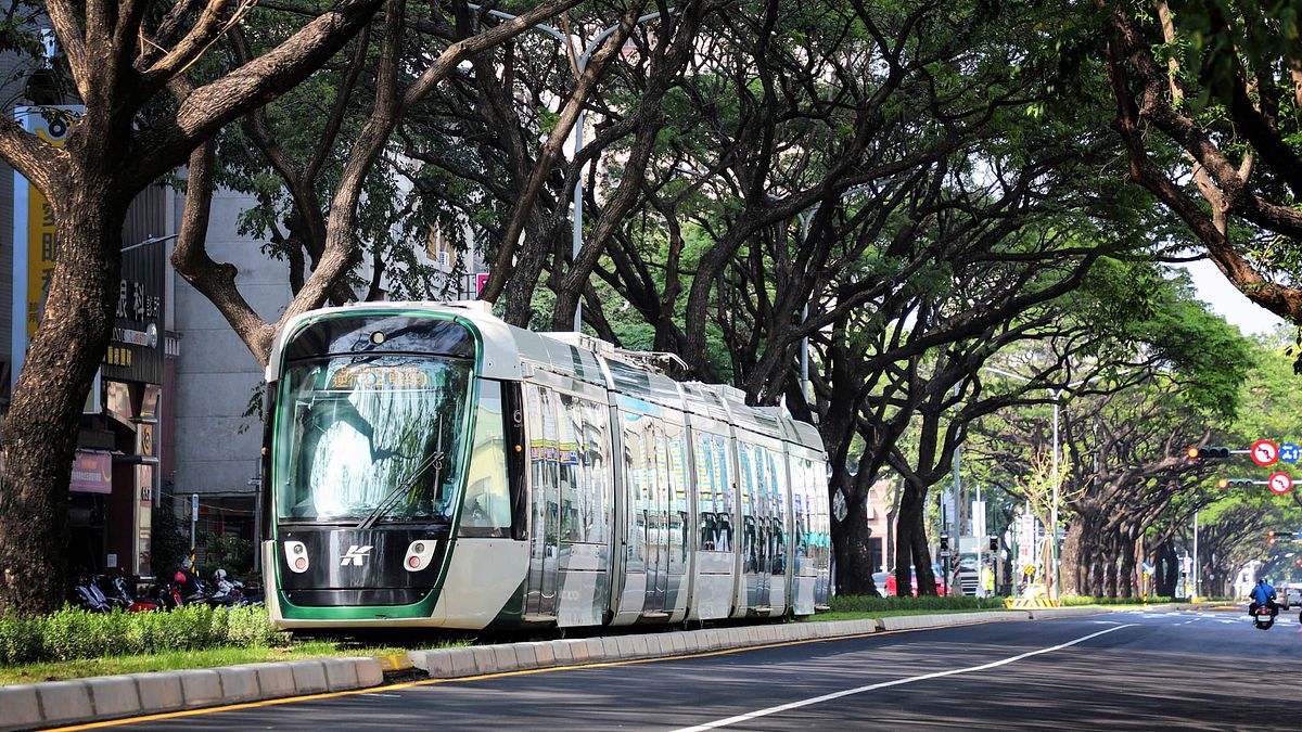 大順路段輕軌保留及加種雨豆樹,形成綠色隧道地景,名為「綠巨人隧道」,讓高雄成為名副其實的綠色運輸城市。(圖/高雄市政府新聞局提供) 大順路段輕軌保留及加種雨豆樹,形成綠色隧道地景,名為「綠巨人隧道」,讓高雄成為名副其實的綠色運輸城市。(圖/高雄市政府新聞局提供)