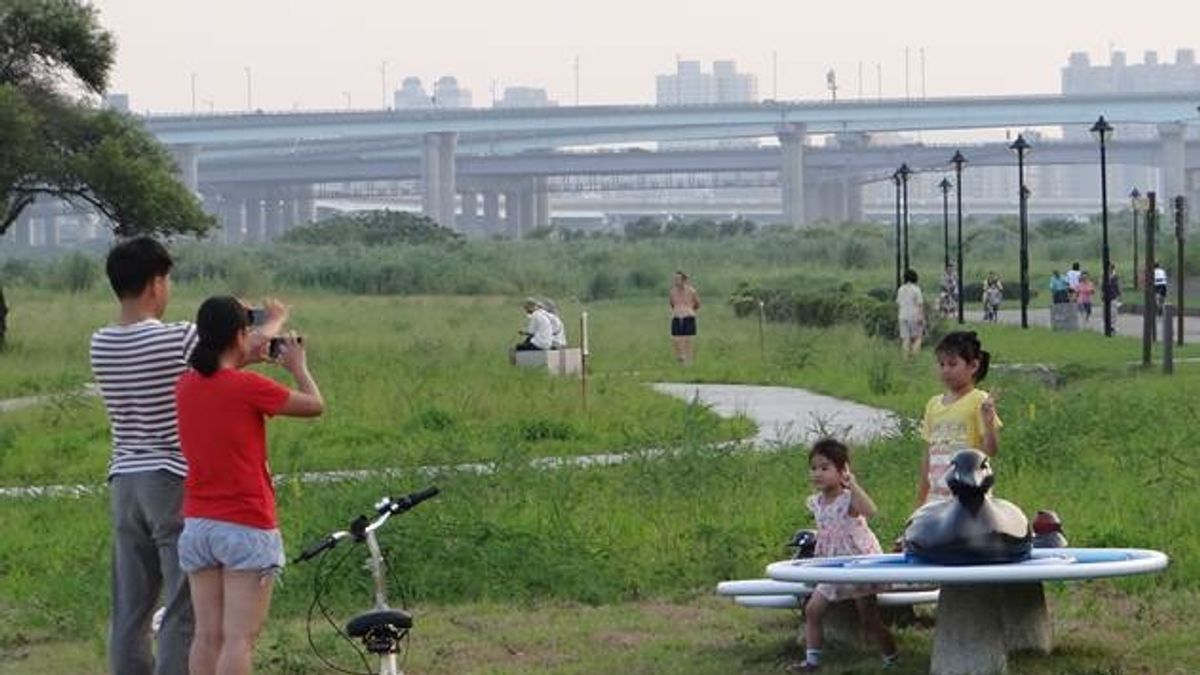 中興河濱公園新亮點 水鴨造型地景藝術超吸睛 中興河濱公園新亮點 水鴨造型地景藝術超吸睛