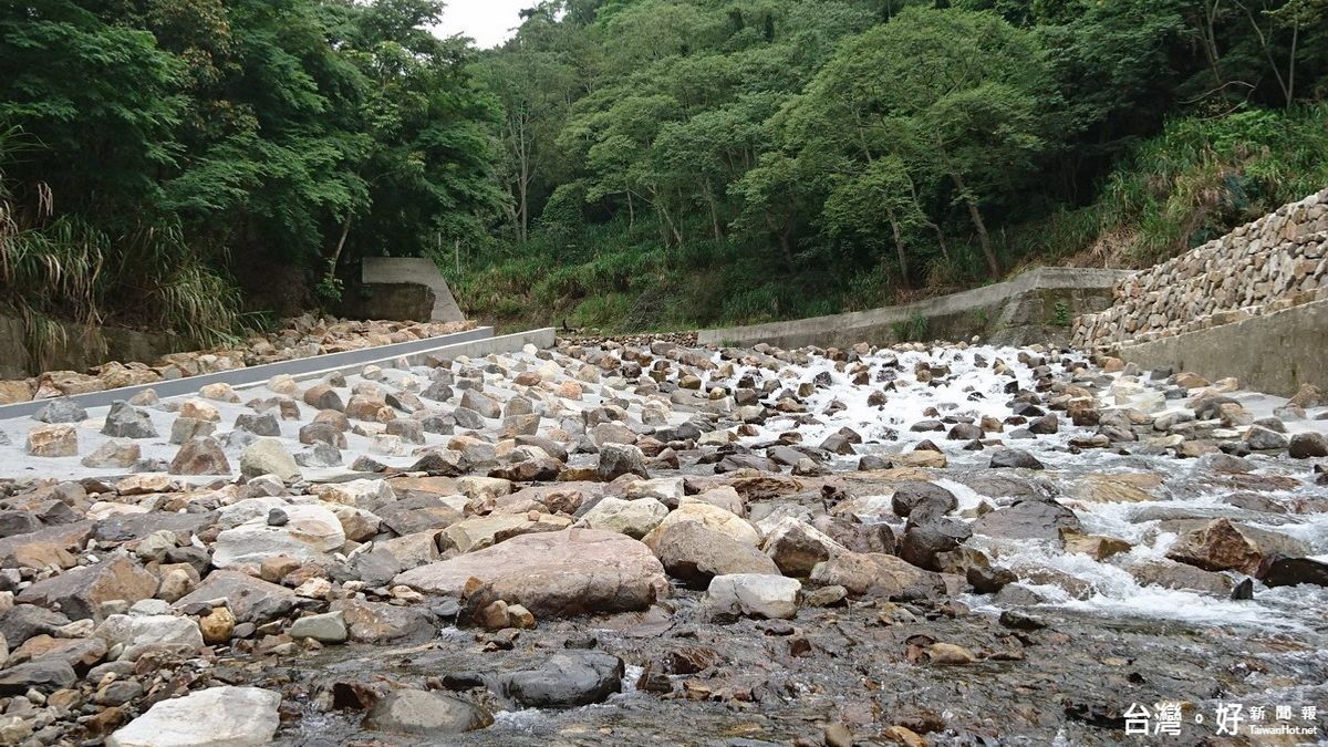 加強生態保育 東勢林管處於橫流溪設置多座魚道 加強生態保育 東勢林管處於橫流溪設置多座魚道