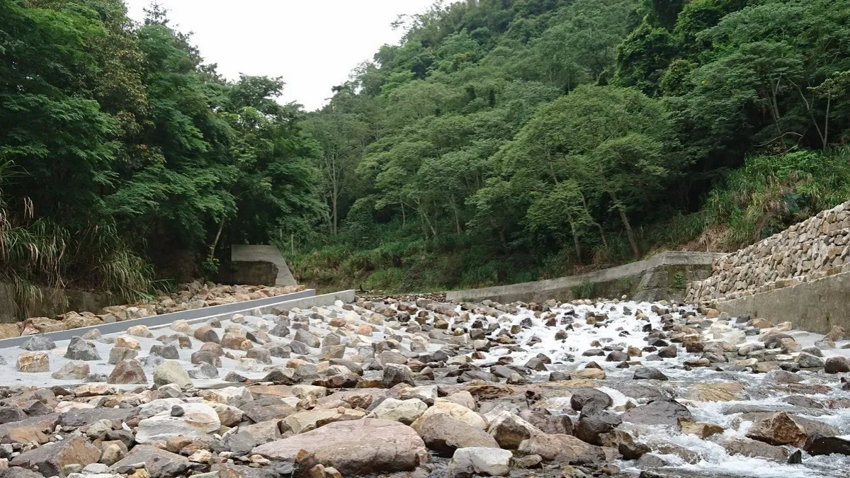 加強生態保育 東勢林管處於橫流溪設置多座魚道