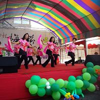 2016南投梅子節 水里樂活饗梅趣 2016南投梅子節 水里樂活饗梅趣