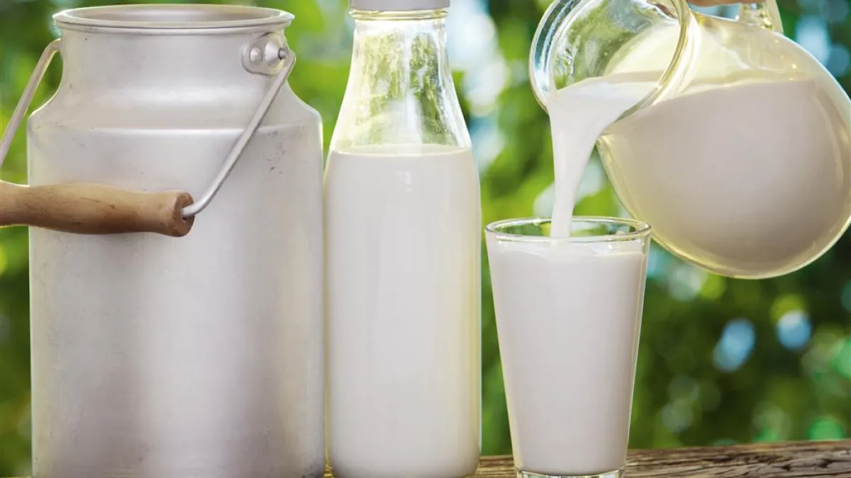 台灣的生乳價格不能和進口乳品相比,主要在於規模小、飼料倚賴進口等因素(圖/食力提供)