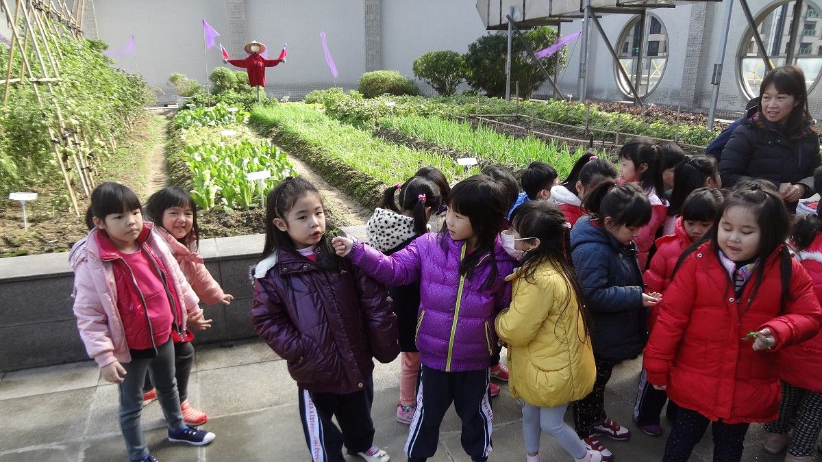 新北市府大樓也可以種菜 幼兒參訪可食地景區 新北市府大樓也可以種菜 幼兒參訪可食地景區