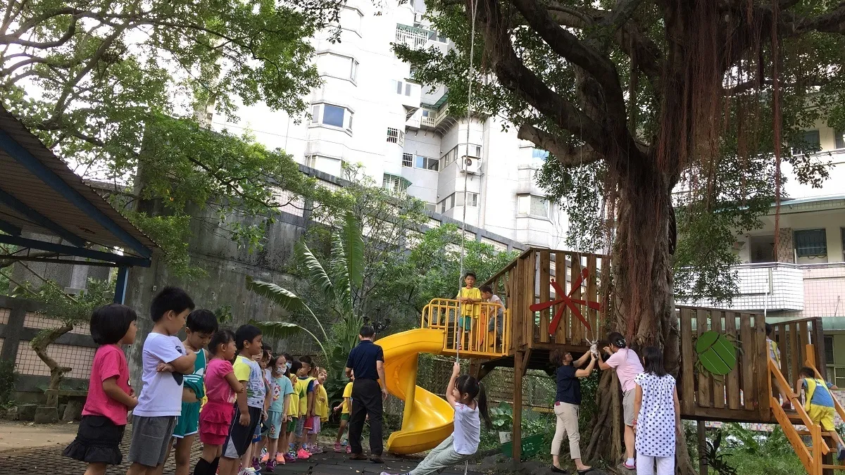 安坑附幼改造老樹 變身大自然教室