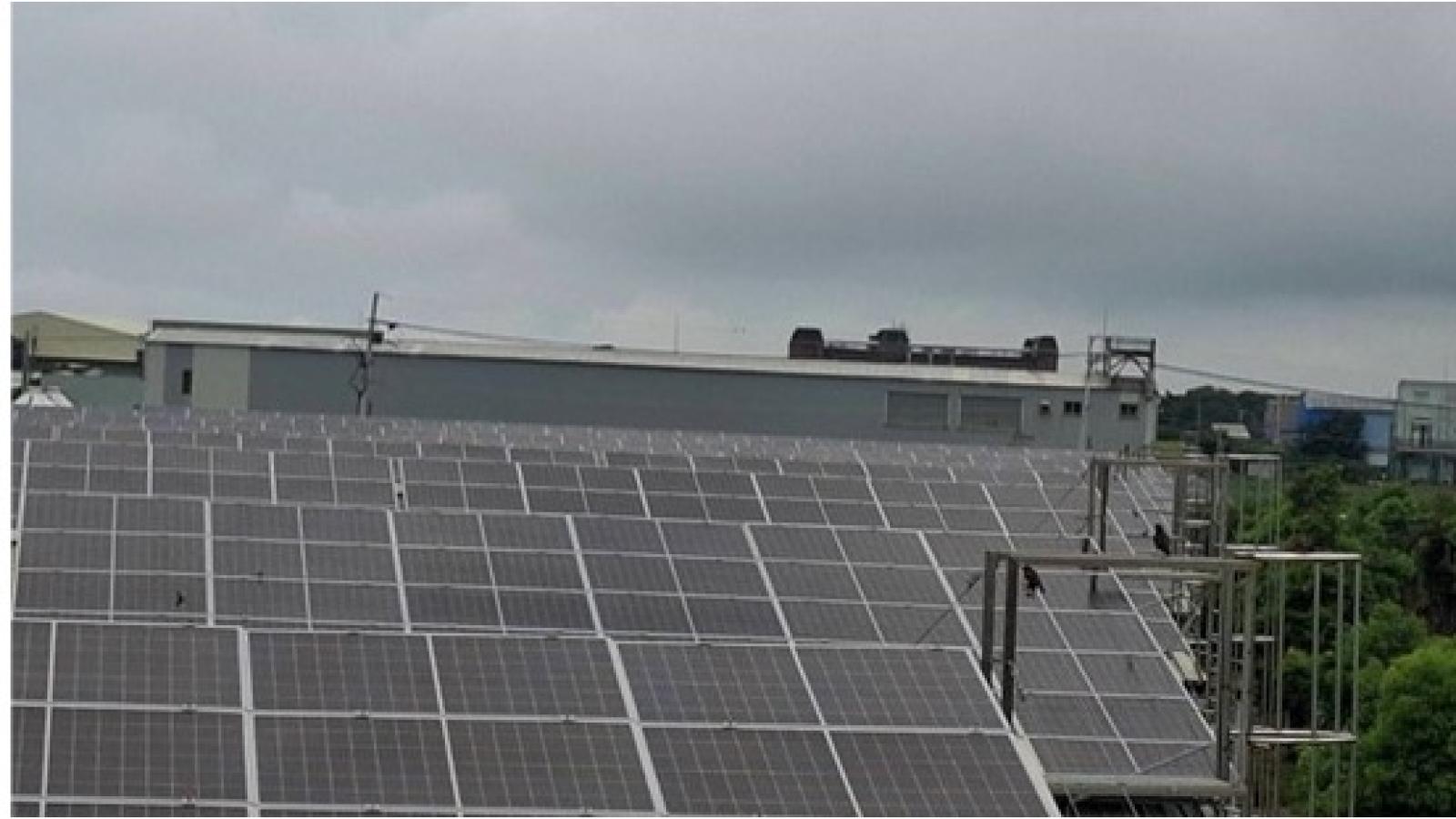 台中市推動農業設施附屬光電 今年底裝置容量將突破 4,000kW拼永續轉型