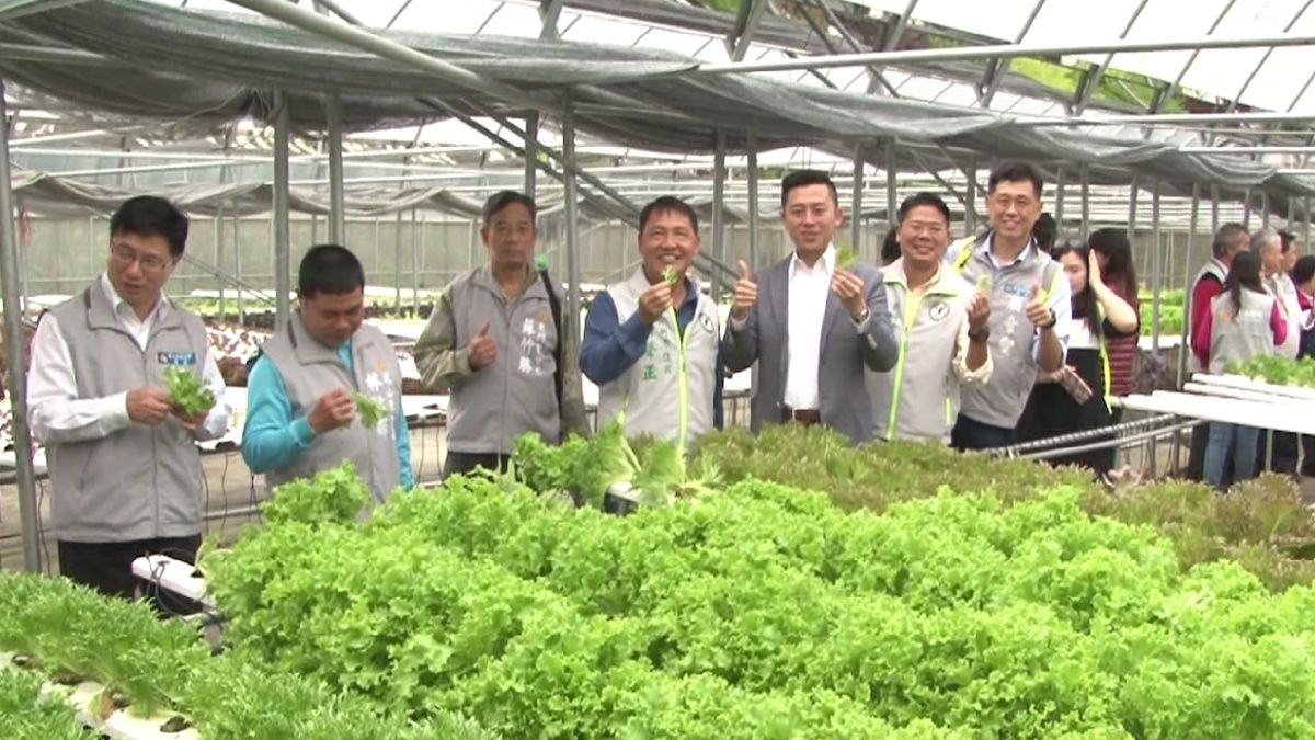 探訪有機生菜園 香山微旅走透透 探訪有機生菜園 香山微旅走透透