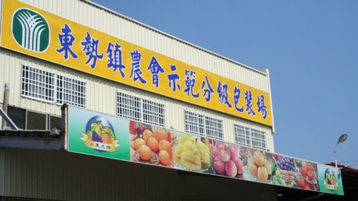 漂流的水果碼頭:《摩天嶺俱樂部》選摘(3)