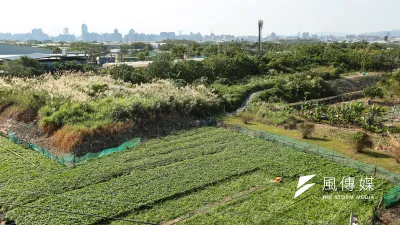 龔明鑫表示,農民改種雜糧後,預計農業用水量可減少8億噸用水量。(資料照,顏麟宇攝)