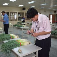 中市大安農會舉辦優質青蔥評鑑 優勝農民抱走2萬現金 中市大安農會舉辦優質青蔥評鑑 優勝農民抱走2萬現金