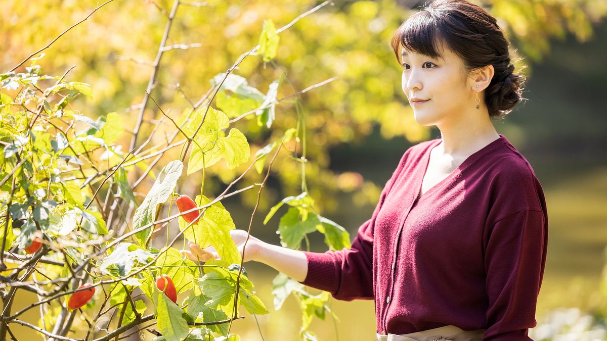 日本皇室秋篠宮夫婦長女真子公主。(AP) 日本皇室秋篠宮夫婦長女真子公主。(AP)