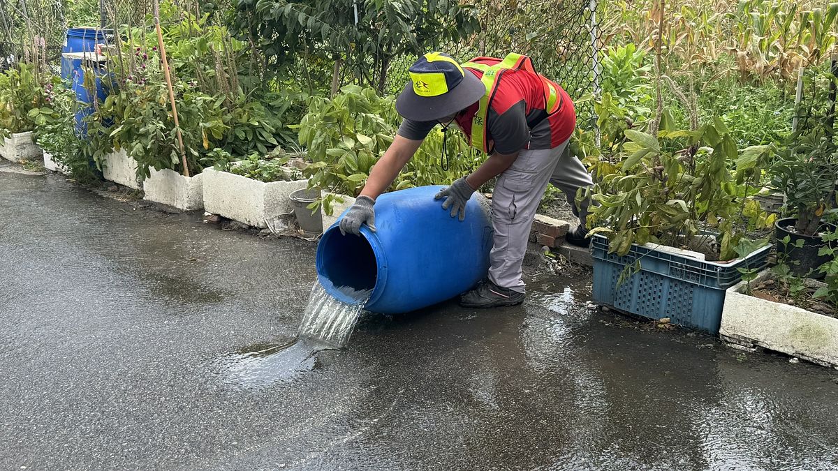 公私協力守護城市健康 中市推動登革熱孳生源清除評比成效亮眼