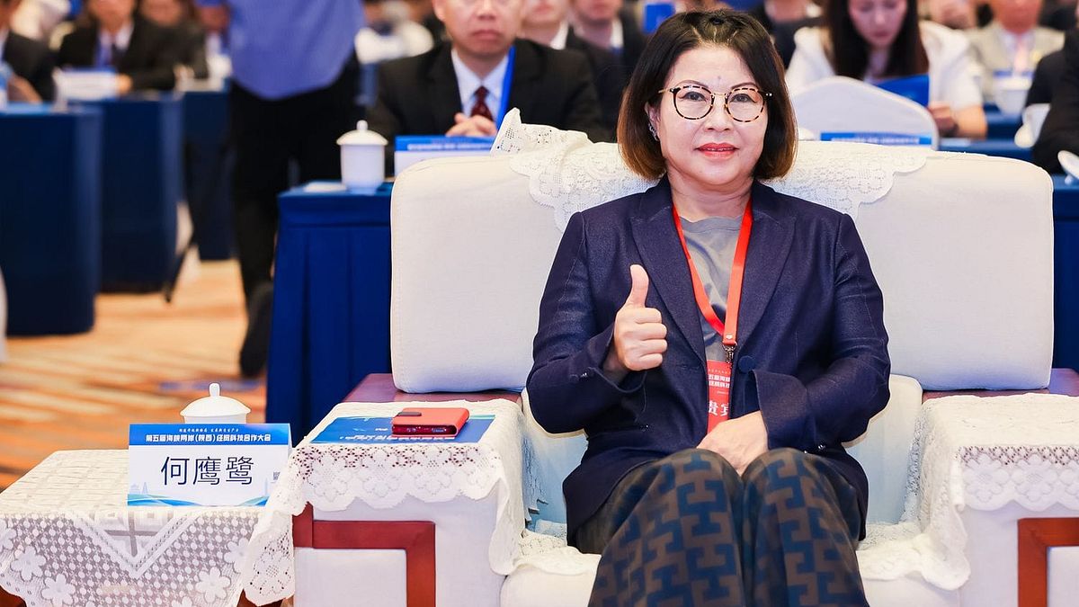 幕後》「是鄭麗文誘導我喊統一」!何鷹鷺遭鍘怒批國民黨:不想玩了,我退黨