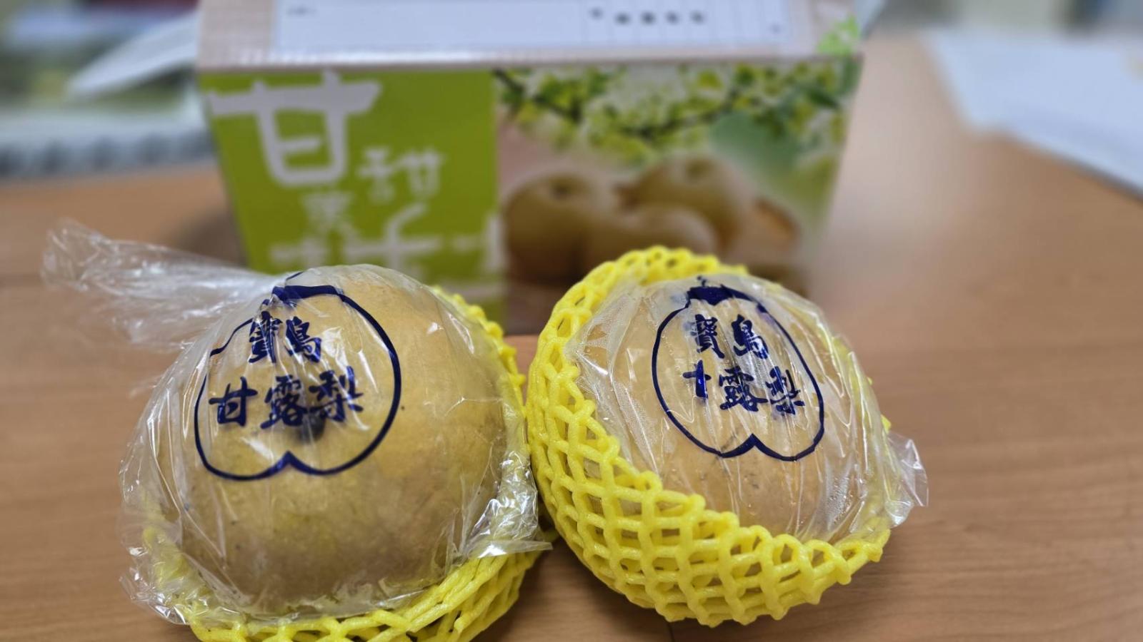 以產品特色尋找市場新機會 苗栗甘露梨前進新加坡中秋市場