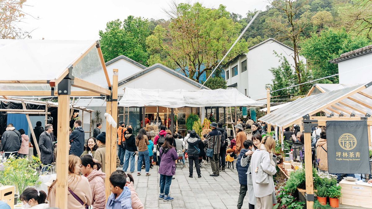 「2026茶山繚療」3月登場! 3/21、22來坪林茶博館走進「茶山市」