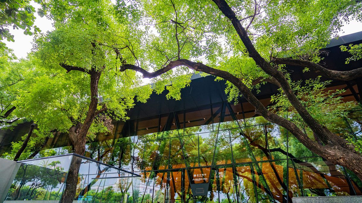 屏東總圖獲得網路七大熱門圖書館全臺第二高人氣圖書館。(圖/屏東縣政府文化處提供) 屏東總圖獲得網路七大熱門圖書館全臺第二高人氣圖書館。(圖/屏東縣政府文化處提供)