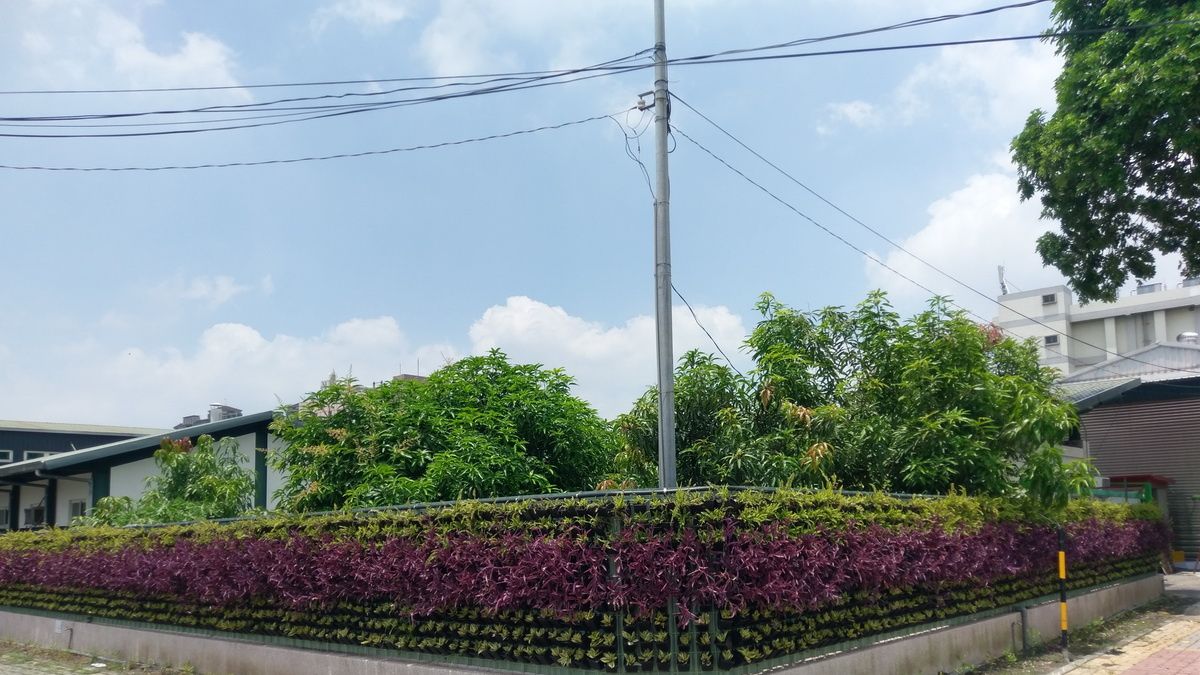 水肥中心圍籬改綠色植栽 鄰避設施變「好厝邊」 水肥中心圍籬改綠色植栽 鄰避設施變「好厝邊」