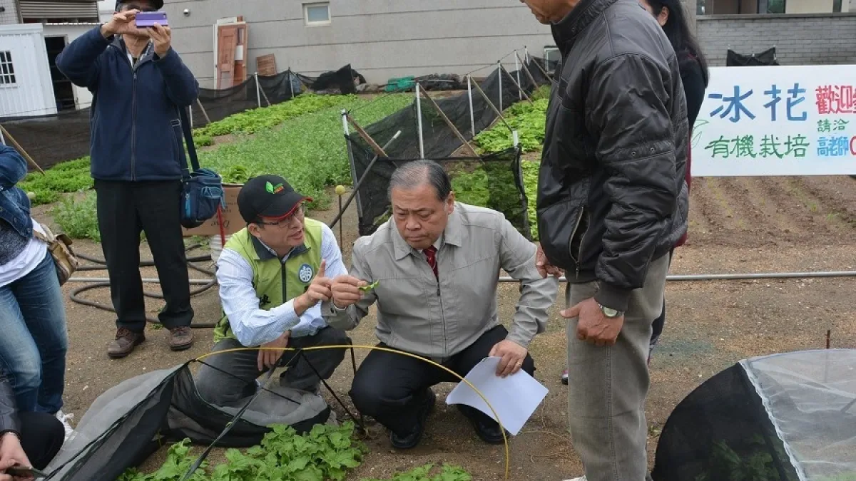 看好冰花經濟價值 陳光復促加強宣傳及產銷