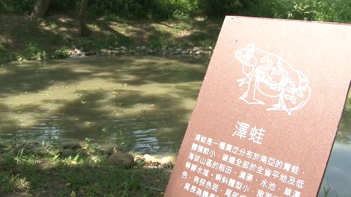 青青草原再進化 生態池蛙鳴鳥叫