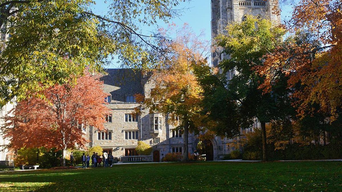 (取自耶魯大學IG) (取自耶魯大學IG)