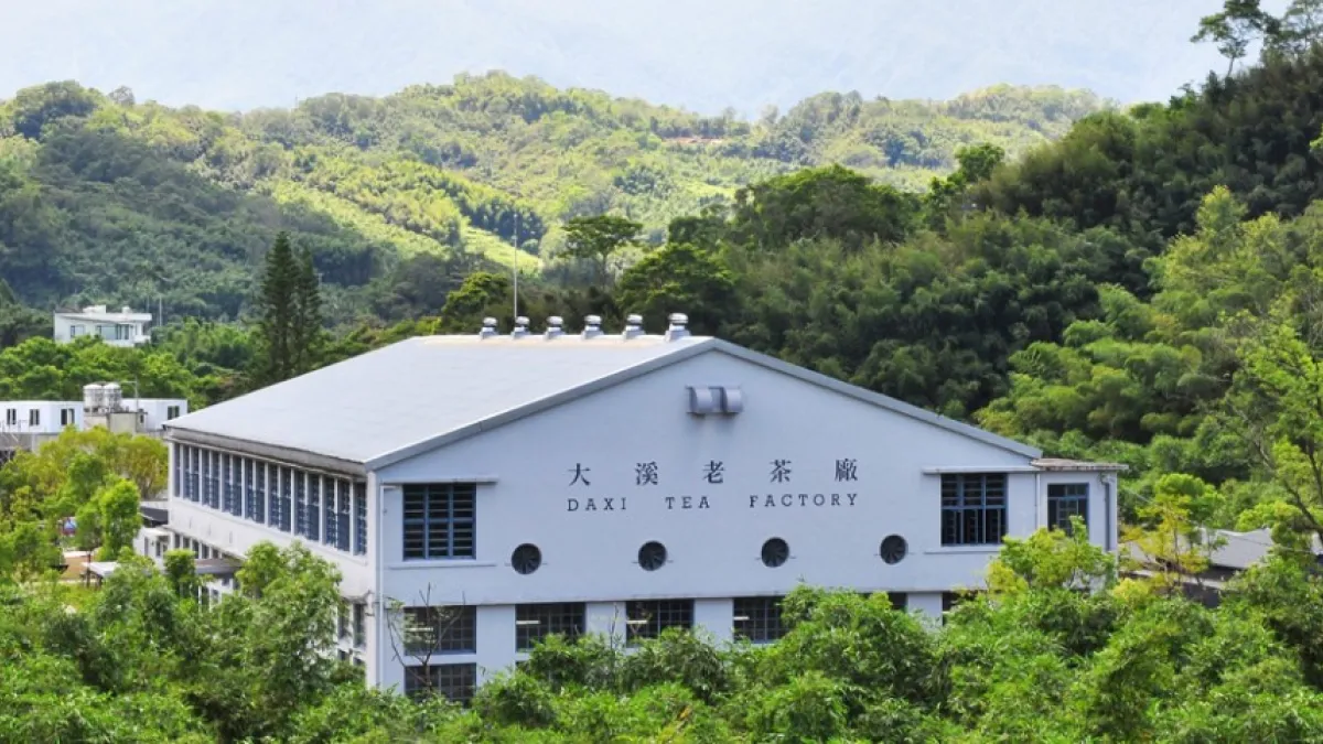 桃園成為國旅新寵兒,廣闊的茶園與傳統製茶文化,吸引許多遊客到訪。(圖/翻攝自大溪老茶廠臉書)