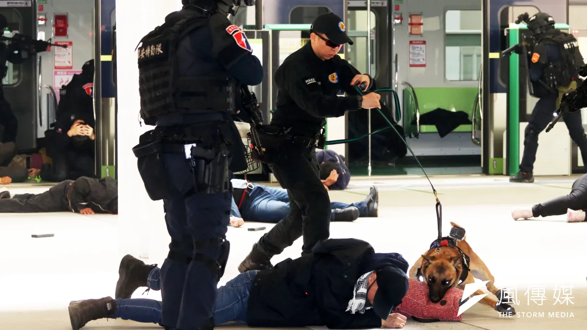 台中市警察局5日於中捷「台中市政府站」舉行反恐維安演練。圖為警犬撲咬暴徒。(蘇仲泓攝)