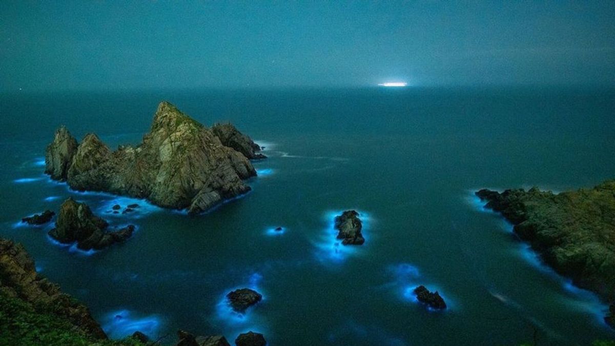 馬祖各個島嶼的藍眼淚都擁有不同的景觀,象徵著生態資源與水產的豐富。(圖/台灣旅行小幫手提供)