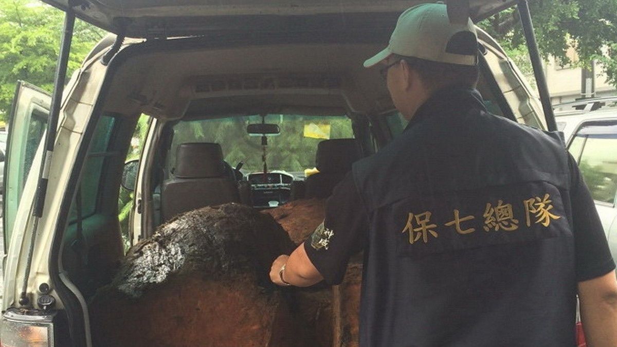 涉多項竊盜案件 山老鼠僱越勞盜木遭移送 涉多項竊盜案件 山老鼠僱越勞盜木遭移送