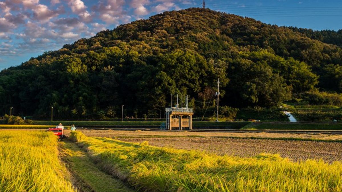 日本面臨嚴重的鄉村人口外流問題。(圖/Takuma_Kimura@flickr) 日本面臨嚴重的鄉村人口外流問題。(圖/Takuma_Kimura@flickr)