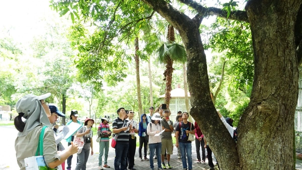 強化樹木疫病管理 嘉義林管處舉辦樹木健檢活動 強化樹木疫病管理 嘉義林管處舉辦樹木健檢活動