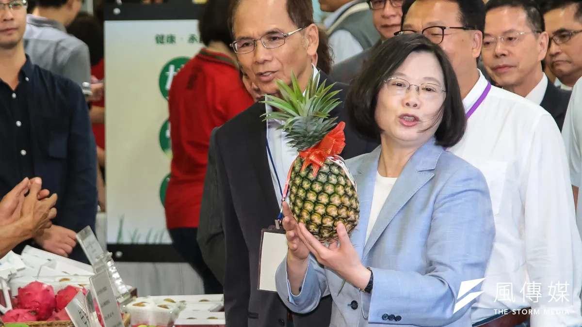 總統蔡英文(右)說,為打造新南向產業鏈,將成立工業國際投資公司、農業投資公司,擴大海外投資開發公司的規模。圖為她今出席「有機農業論壇」,拿起鳳梨推銷。(顏麟宇攝)
